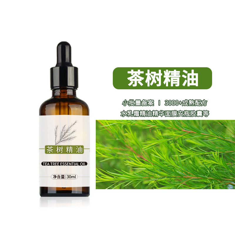 Tea Tree Essential Oil for Facial Beauty, White Tea Tree Oil for Massage and Gua Sha, Beauty Salon Line Cosmetics Wholesale