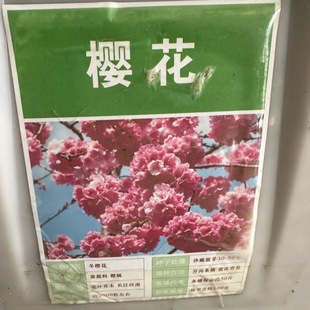 �²əѻ��N��ɽ�ѻ���N�ә��Ҙ�N�ӾG��ͥԺ�����N�ӌ��w��