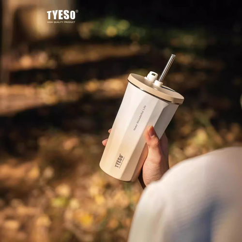 Taishuo's new stainless steel gradient high-value coffee cup large-capacity frosted plastic spray office leisure drinking cup