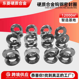 厂家硬质合金钨钢密封圈钨钢圈非标钨钢异形件加工硬质合金配件