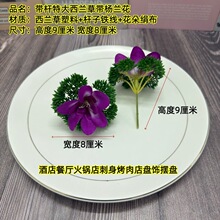 ���m�ݗ��m���Ƶ�͏d���ϱP[�P�Ĕz���߽�����c�bٻ�