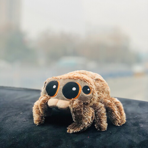 Lucas Little Spider Lucas Spider Doll Children's Plush Toy Cute Cute Reptile Little Doll