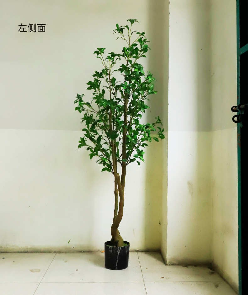 马醉木_05.jpg