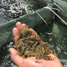 �^�p�r���l�ښ��r�׳����r��ˮ���坍�rˮ�����쾰�~�׹����r