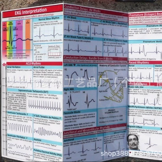 Новый трансграничный продукт Карманный справочник ЭКГ Карманный справочник ЭКГ