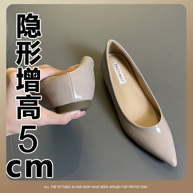 2024 новые весенние и осенние французские обнаженные цвета увеличены в острых плоских туфлях