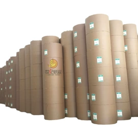 复印纸;其他办公用纸;电脑连打纸