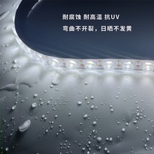LED柔性洗墙灯led线条灯户外亮化工程外墙广告低压柔性灯带防水