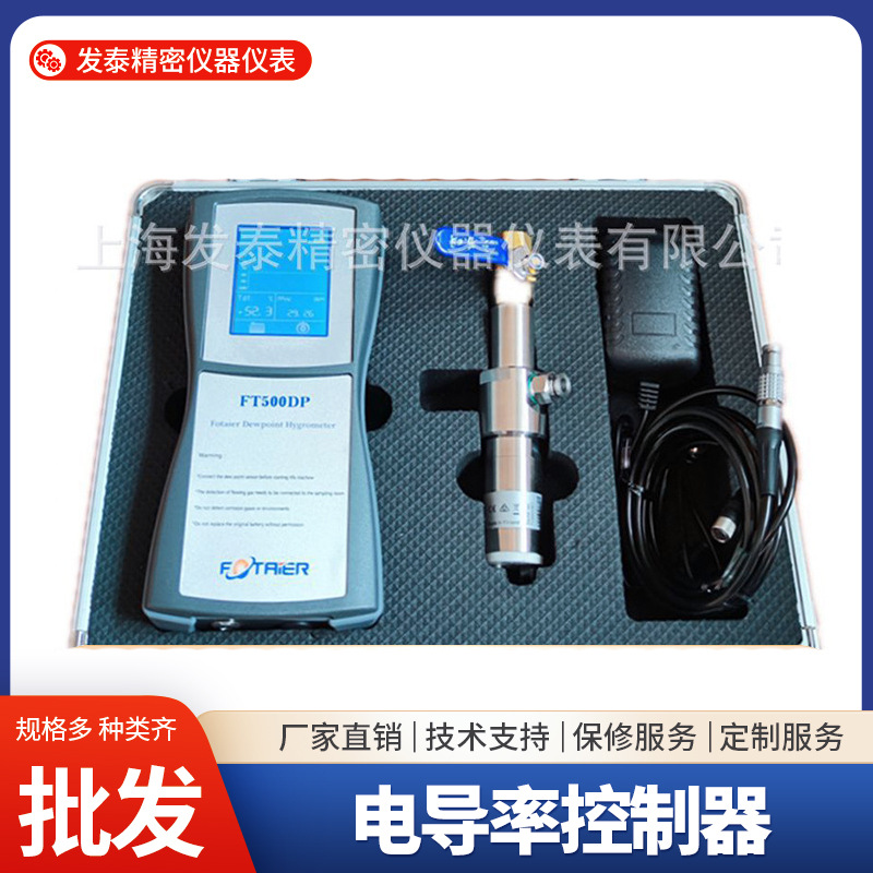 手持式FT500DP露点记录仪 DMT143电容式露点传感器 新能源空压机