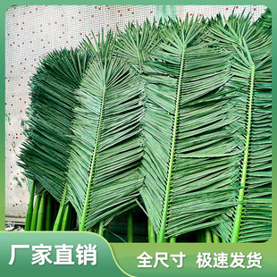 ��վ�䌣�÷���Ҭ���~ ���L�ȼ�14��  ��uv����