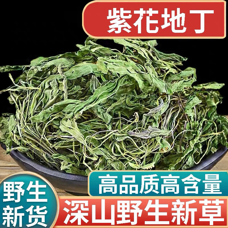 正品野生紫花地丁新货中药材500g正宗犁头草地丁草地丁苦地丁泡水