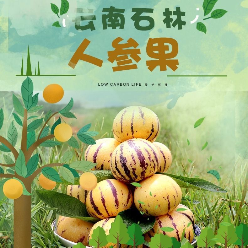 Yunnan colorful ginseng fruit large yellow flesh seasonal red skin for pregnant women Shilin yellow fruit milky fresh seasonal fruit