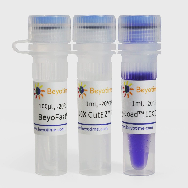 D5865-100мкл BeyoFast™SacI быстрый эндонтаза