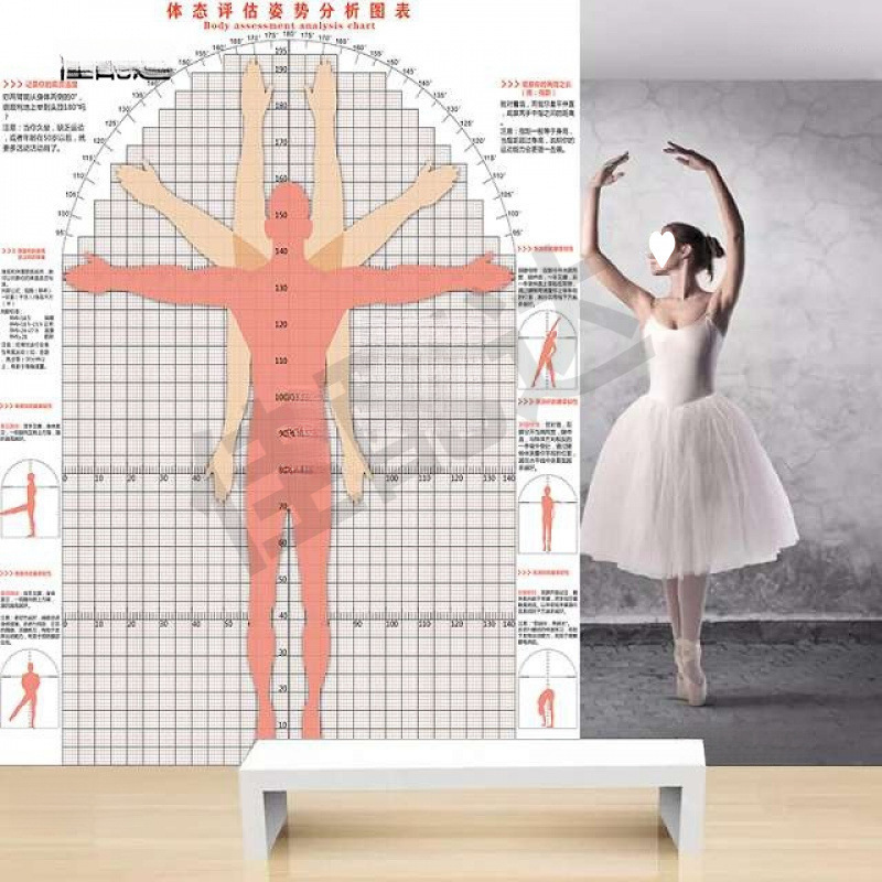 Posture Assessment Chart System Yoga Fitness Personal Trainer Physical Assessment Chart Posture Test Chart Body Type Assessment Chart Wallpaper