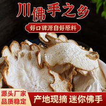 四川厂家五指佛手干片道药材手工采摘质地现摘干净无杂质佛手柑