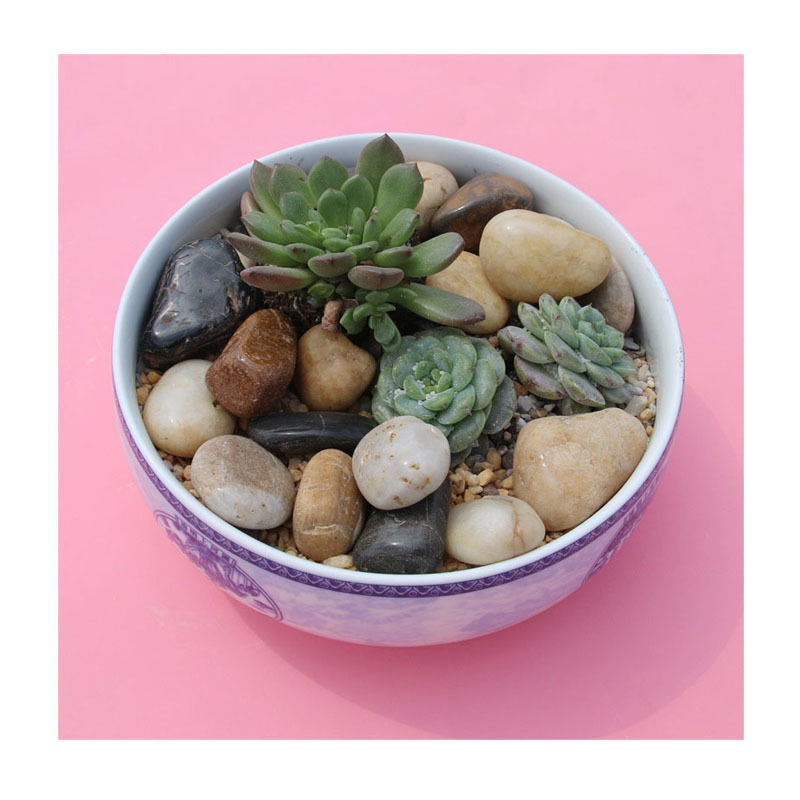 ����ֱ����Ȼ��ɫ����ʯ ԰���쾰��԰��·ʯ ͥԺװ��ˮ��ʯ