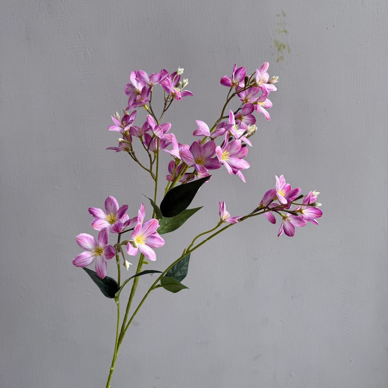 新鮮な蘭の小花、野の花、ホテルの背景の壁のフラワーアレンジメント、造花、結婚式場のフラワーアレンジメント、造花|undefined