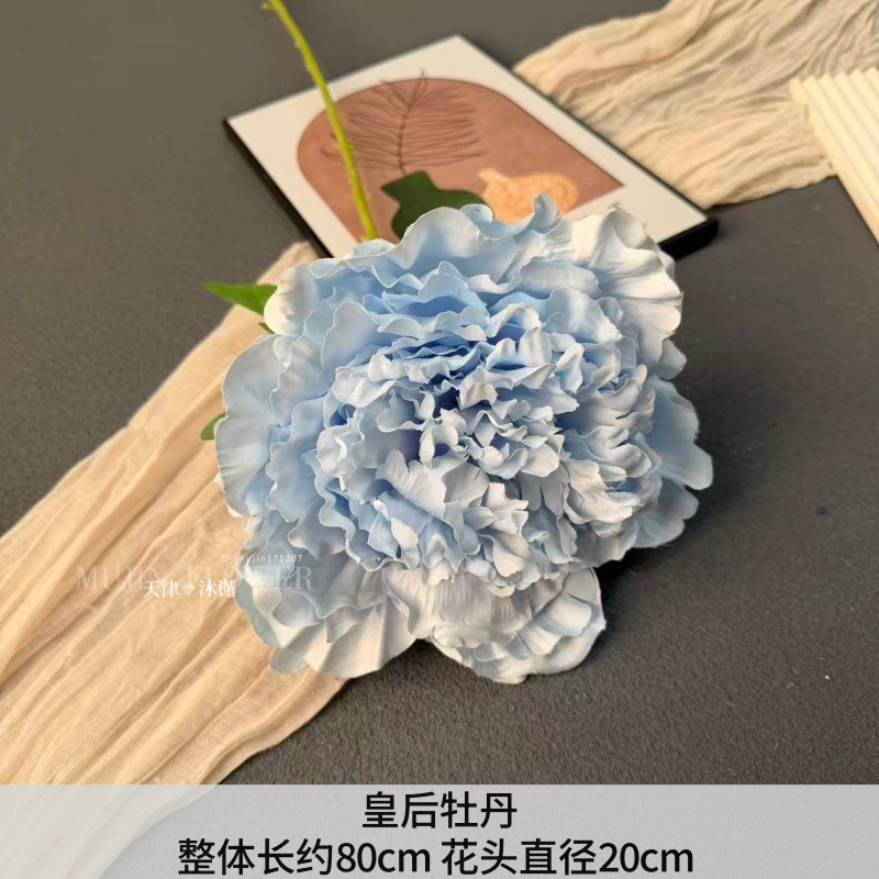 황후 모란