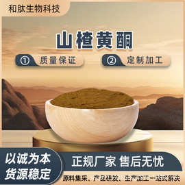 山楂黄酮 20% 山楂提取物 山楂粉浓缩粉  原料稳定 天然提取