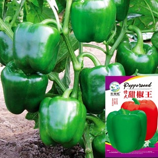 �𽷷N�ӈA���������N���̨���Դ����ļ��׷Nֲ�a������Ʒ�N