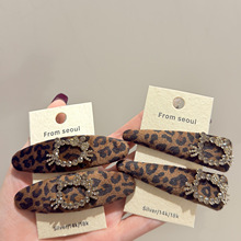 �n���ﶬ���|���y�W�؈��l�A�r�аٴ�Ԃ�߅������lBB�A�l�