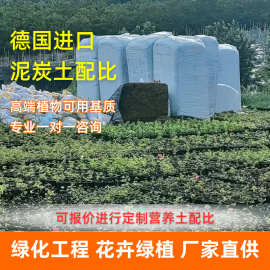 厂家直供有机肥营养土草炭土工程绿化泥炭土楼顶花园轻质土种植土