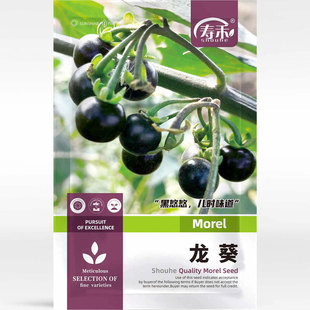 �����N���r�Һ���������ͥԺˮ���ļ������̨�����S�N����������