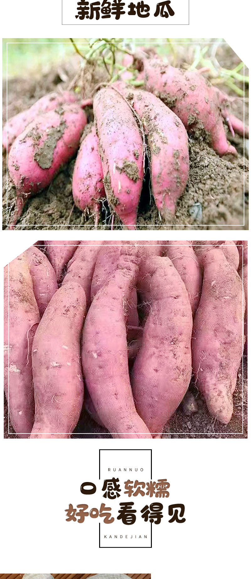 地瓜干详情2.jpg