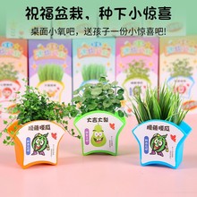 绿植小盆栽儿童作业diy迷你种植科学实验小花农花卉种子礼物盲盒