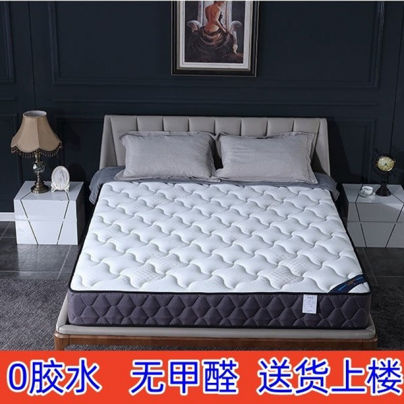 Simmons Spring Mattress 20mm Thick for Home Use, Latex Coconut Palm Rental Room 1.95m Double Soft and Firm Mattress