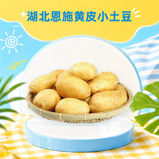 ������ʩ�SƤС���� һ�����l3/5/9���Ŵ�R����д�����r�߲�