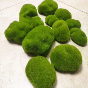 Simulation Bubble Bubble Green Moss Moss Moss Moss Moss Moss Flower Materials Garden Plant Wall soft decoration