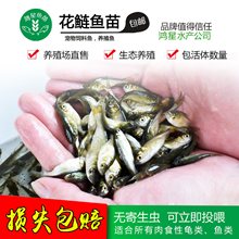 ���^�I�~�� �����~�� ���^�~�� ���^�~�� �����~�絭ˮ���w���~��