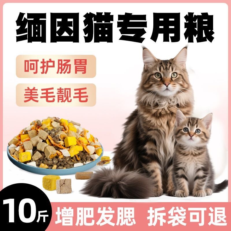 Maine Coon Cat Food 10kg Pack for Kittens and Adult Cats, Full-Price Fresh Meat Nutritional Freeze-Dried Cat Food for Beautifying Fur and Weight Gain 2.5kg Maine Coon Cat Food 10kg Pack for Kittens and Adult Cats, Full-Price Fresh Meat Nutritional Freeze-Dried Cat Food for Beautifying Fur and Weight Gain 2.5kg