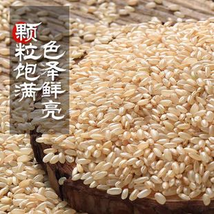 �|������5���b ���װlѿ�������s�Z���������峣�������������