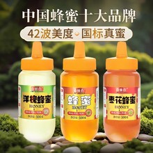优选 百花500g土蜂蜜挤挤压瓶枣花洋槐小包装峰蜜品百花蜜常温