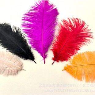 �S�ҹ����M���r�Bë20-25cm�ߴ�ȫ��ɫ���x��ë��ɫ�r�Bë20-25CM