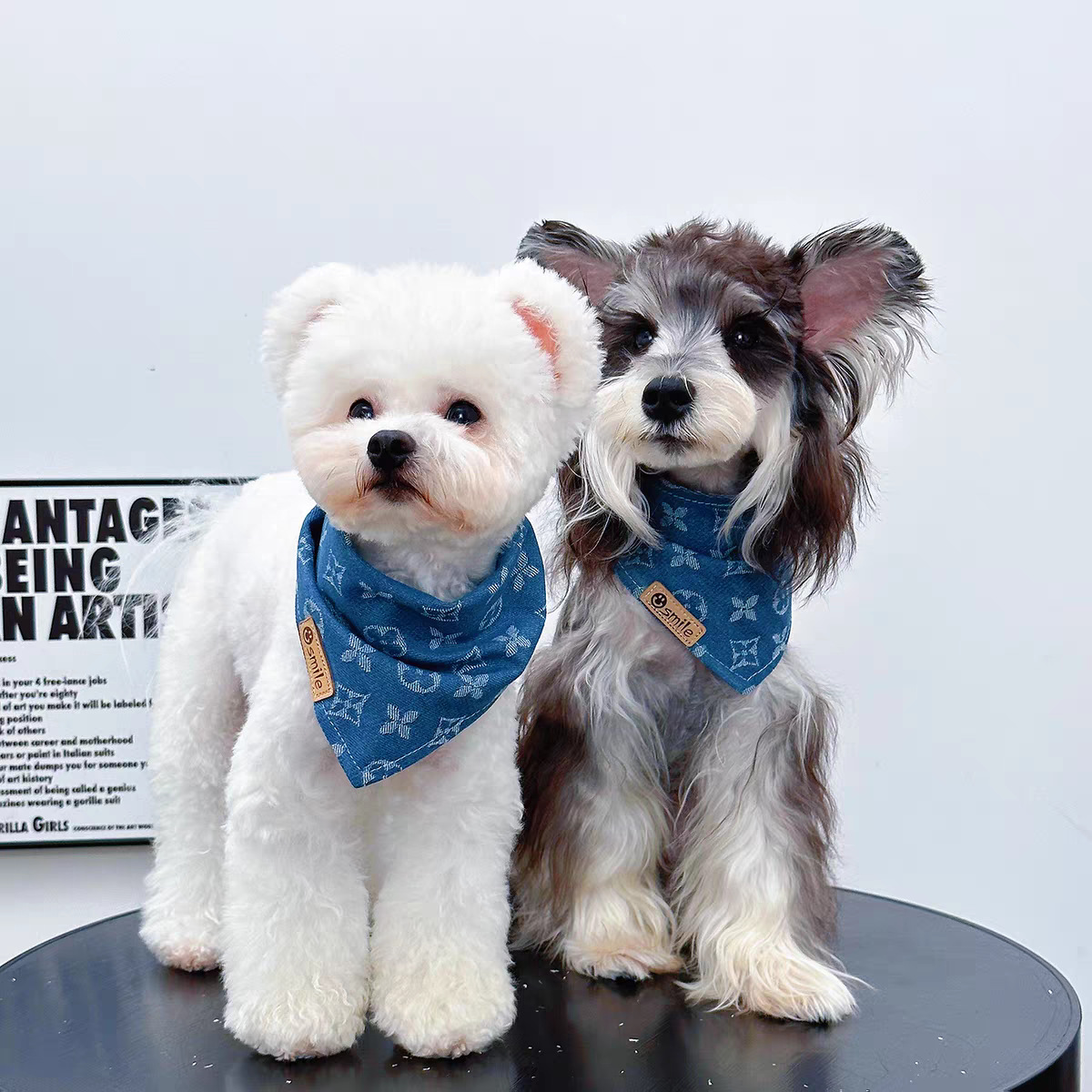 Bufandas para perros, bufandas de saliva, accesorios para el cuello, nuevos modelos clásicos, nuevas mascotas, perros pequeños, gatos, perros medianos