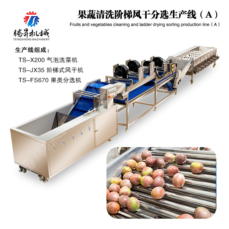 果蔬成套加工设备果蔬清洗风干线 气泡清洗机 筛选机 腾昇供应