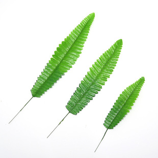 ���沨˹�~ ��Ƭ�����~�� ާ�~ ����ֲ��廨����Ĕz����