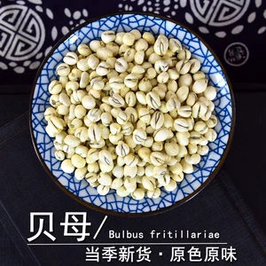 Специальный сорт Fritillary, недикие фритиллярии, новые гранулы сычуаньской фритиллярии без серы, сычуаньские фритиллярии 500 г, гранулы китайской фитотерапии фритиллярии
