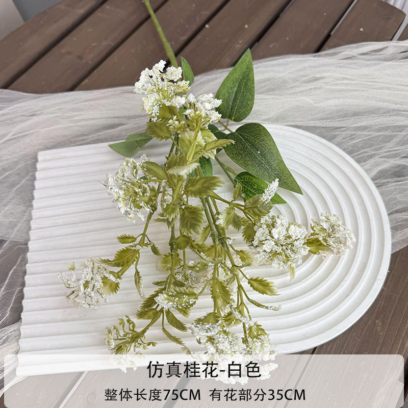 인공 osmanthus