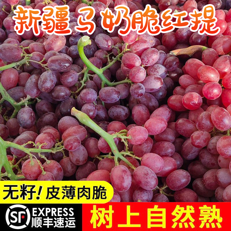 顺丰包邮 新疆无籽马奶红提子新鲜水果吐鲁番无籽葡萄脆甜提