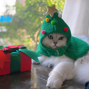 �}�Q�b��С������¹�}�Q��С�܌���؈�乷�������Ʒ���L�ɐ�����