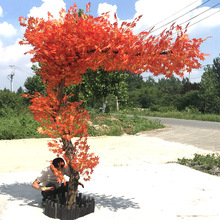 延伸型仿真红枫树工厂出售春节造型枫叶庭院直播造景摆件广场枫树