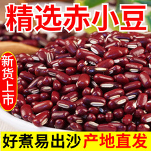 ��؛��С��5���L���t���ඹ��޲���ײ������r������s�Z���b�G��