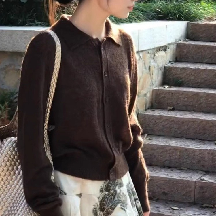 Chestnut-Colored Light Brown High-Neck Long-Sleeve Top Brown Knit Sweater Cardigan for Women in Autumn