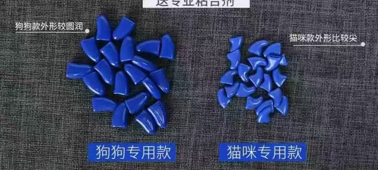 微信图片_20250526154716