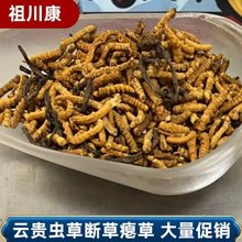 野生断虫草冬虫夏草断草批发干货纯肉虫草自用实惠一手货源批发