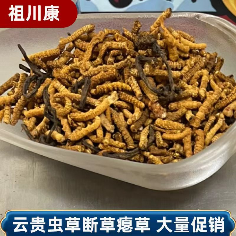 野生断虫草冬虫夏草断草批发干货纯肉虫草自用实惠一手货源批发